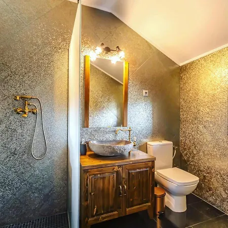 Гостьовий будинок Transilvania Mansion