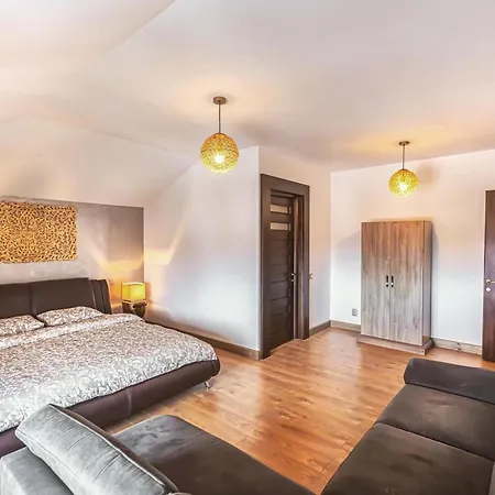 Gasthuis Transilvania Mansion *