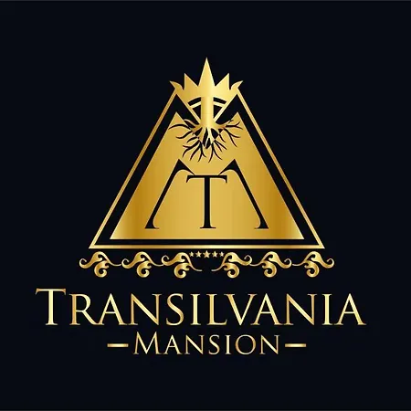 Transilvania Mansion Гостевой дом Брашов