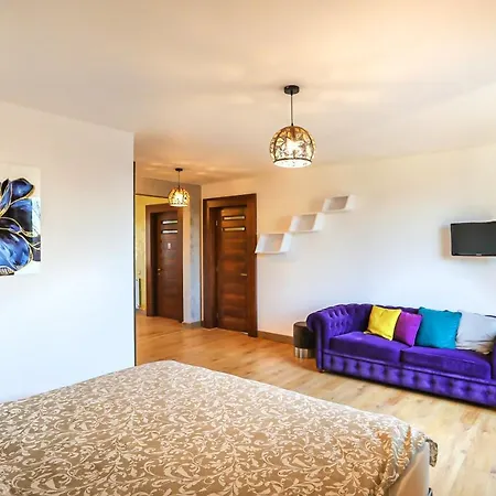 Transilvania Mansion * Braşov