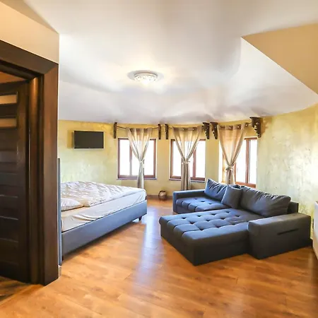 Transilvania Mansion Гостьовий будинок *