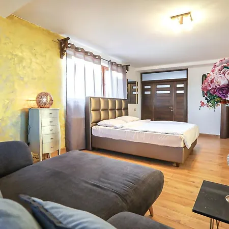 Gasthuis Transilvania Mansion