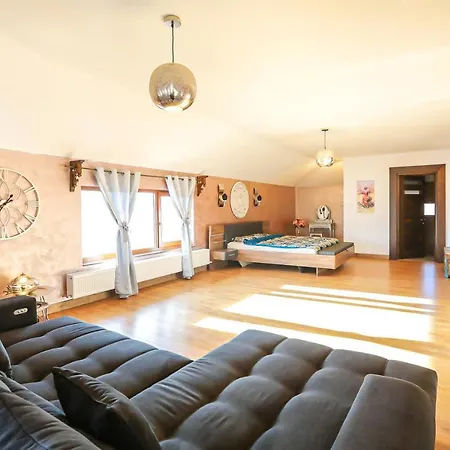 Gasthuis Transilvania Mansion