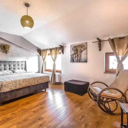 Гостьовий будинок Transilvania Mansion