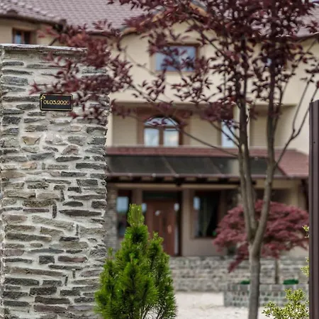 Гостьовий будинок Transilvania Mansion *