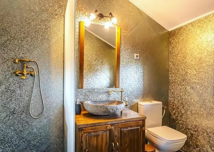 Guest house Transilvania Mansion