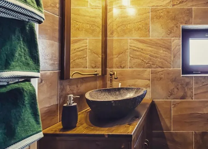 Transilvania Mansion Guest house Brasov