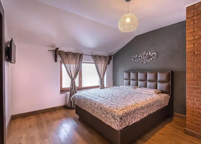 Transilvania Mansion Guest house Brasov