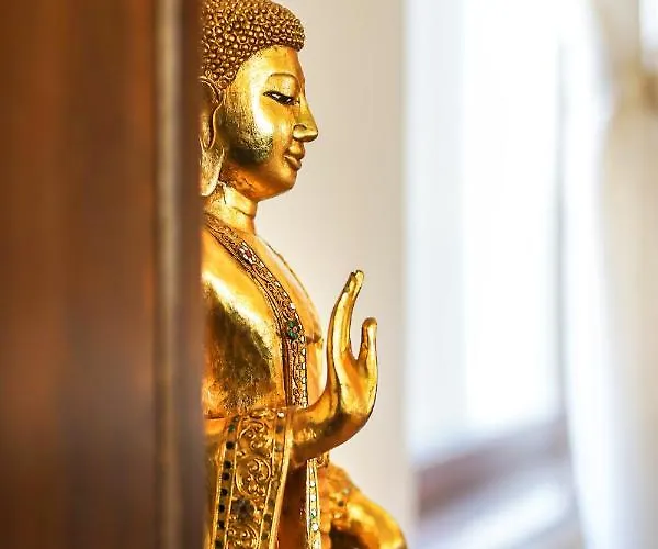 Transilvania Mansion ブラショフ