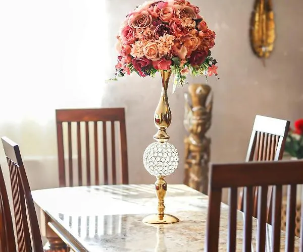 Transilvania Mansion Guest house Brasov