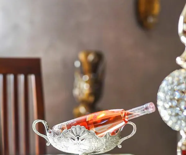 ゲストハウス Transilvania Mansion ブラショフ