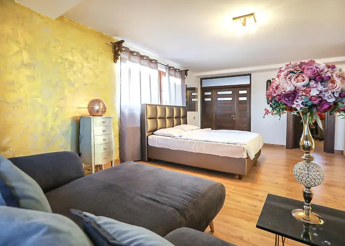 Guest house Transilvania Mansion