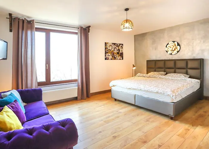 Transilvania Mansion Guest house