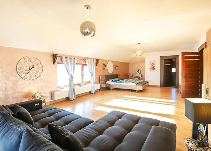 Guest house Transilvania Mansion