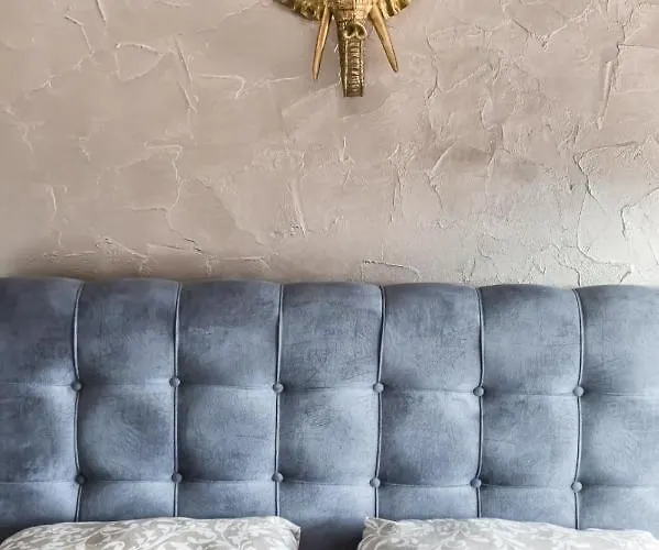 Transilvania Mansion ゲストハウス ブラショフ