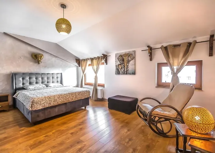 Guest house Transilvania Mansion