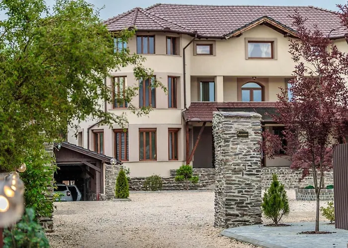 ゲストハウス Transilvania Mansion ブラショフ