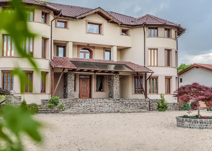 ゲストハウス Transilvania Mansion *