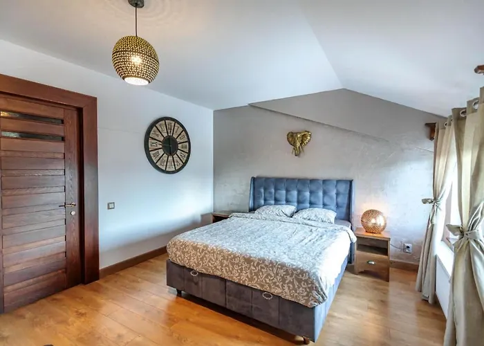 Guest house Transilvania Mansion Brasov