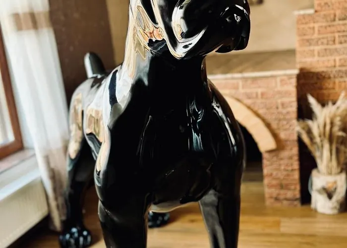 Transilvania Mansion Pensionat *